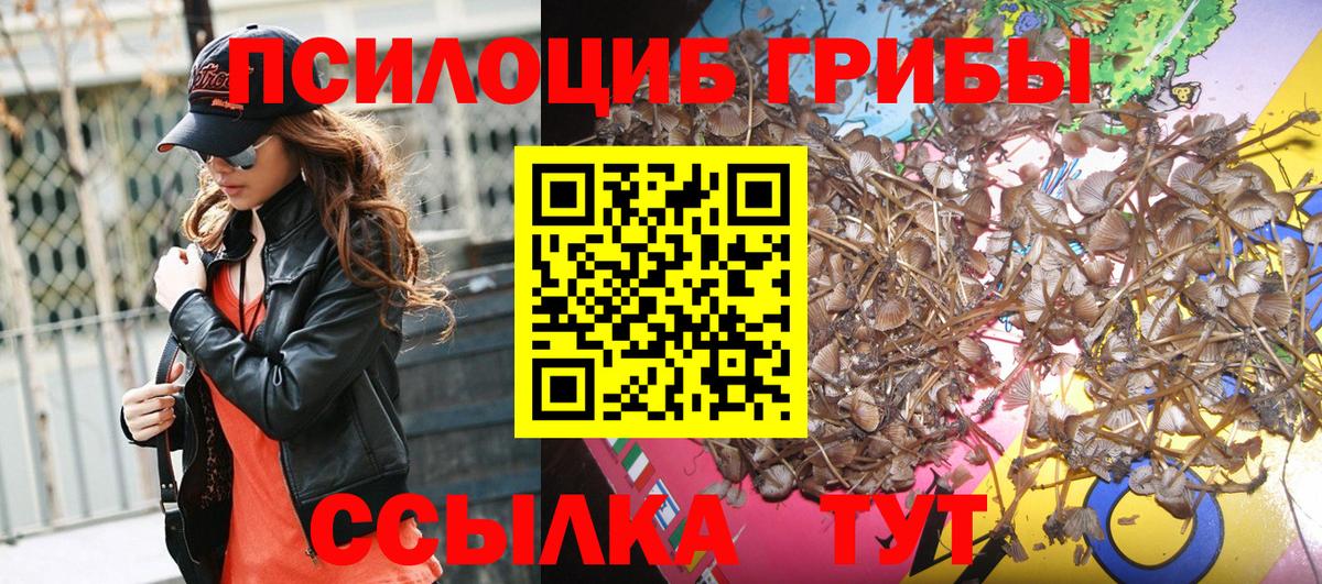 Псилоцибиновые грибы Magic Shrooms  Галлюциногенные грибы Psilocybe  купить   Карасук  Вход с VPN 
